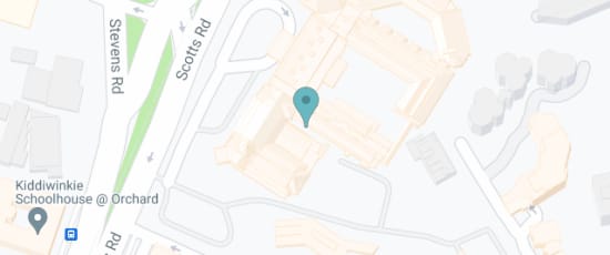 22 Scotts Rd, 228221