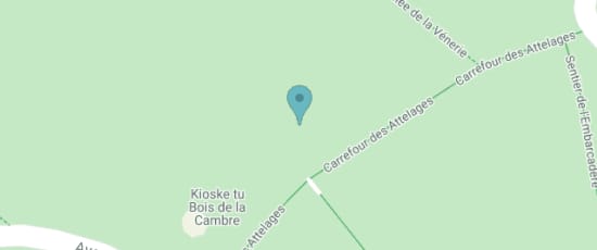Bois de la Cambre / Ter Kamerenbos, 1000
