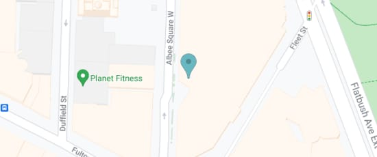 445 Albee Square West  Brooklyn, NY 11201, 11201