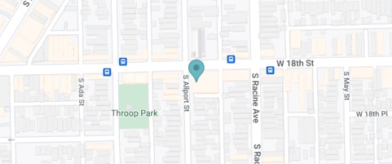 1807 South Allport Street, Chicago, 60608