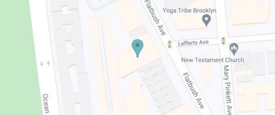 510 Flatbush Ave, Brooklyn, 11225