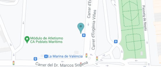 C. Eugenia Viñes, 11, 46011