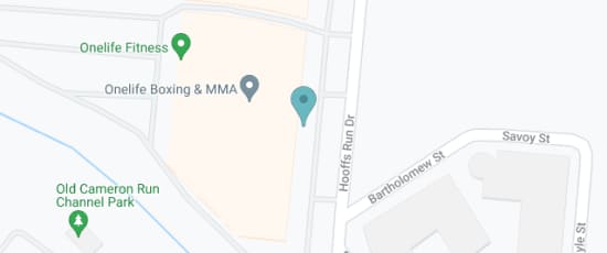317 Hooffs Run Dr, 22314