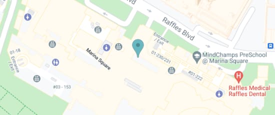 6 Raffles Blvd, 039594
