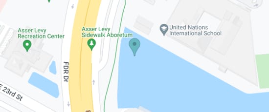 2430 FDR Dr, New York, 10010