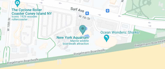 Brooklyn Cyclones - New York Aquarium