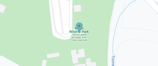 222 Tomakin Road, Mogo, 2536