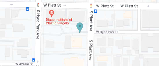 315 S Plant Ave, Tampa, 33606-2325
