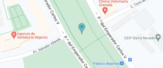 Paseo del emperador Carlos V  nº1, Granada, 18001