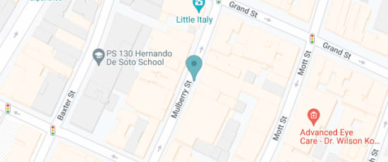 119 Mott street, corner of Hester St, 10013-4720
