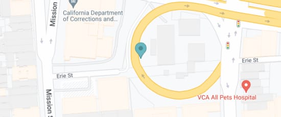 161 Erie St, San Francisco, CA 94103, United States, 94103-2416