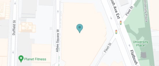 445 Albee Square W, 11201