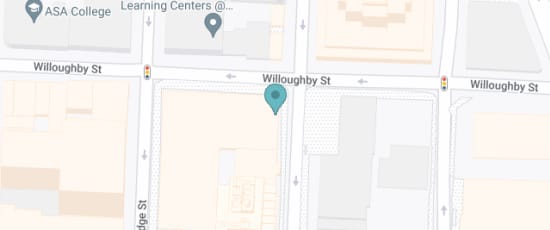 228 Duffield St, Brooklyn, 11201