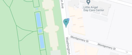 1000 Washington Ave, Brooklyn, 00000