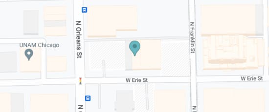 316 West Erie Street, Chicago, 60654-3902