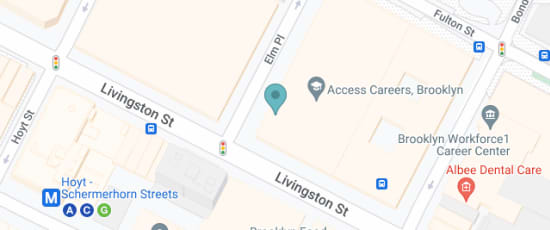 229 Livingston Street Brooklyn, 11201-5838