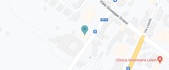 Via San Pietro in Lama, 23, Lecce, 73100