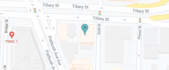 170 Tillary St, Ste 507, Brooklyn, 11201-2050
