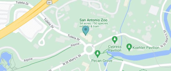 3903 North Saint Mary's Street, San Antonio, 78212