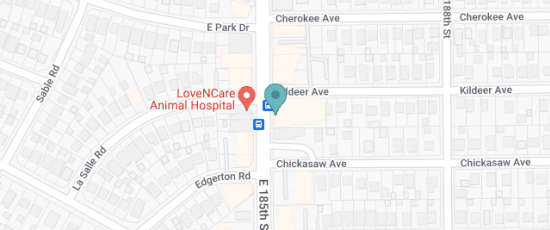 823 East 185th Street, Cleveland, 44119