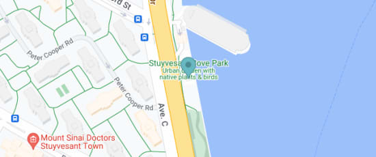 24-20 Fdr Drive Service Road East, New York, 10010
