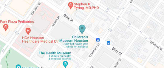 1500 Binz Street, Houston, 77004