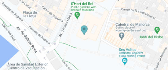 Carrer del Palau Reial, s/n, Palma, 07001