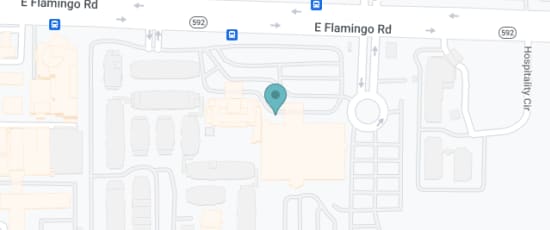 255 East Flamingo Road, Las Vegas, 89169