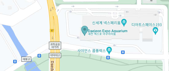 대전 유성구 엑스포로 1, 305-340