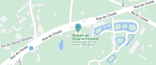 103 Rue de Cholet, Doué-la-Fontaine, 49700