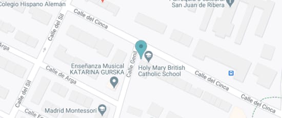 Calle Cinca, 20, 28002, El Viso, 28002