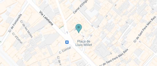 Carrer del Palau de la Música, 1, Barcelona, 08003