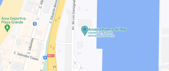 Avenida de Los Consignatarios, s/n, 35008