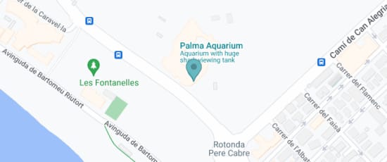 Carrer de Manuela de los Herreros, 21, Palma, 07610
