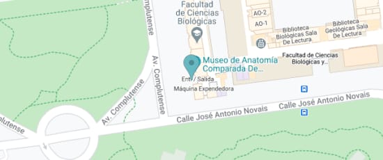 Avenida Complutense, s/n, 28040, 28040