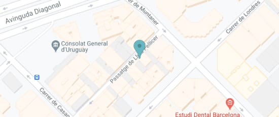 Passatge de Lluís Pellicer, 24, 08036 , 08036