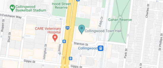 140 Hoddle Street, Abbotsford, 3067