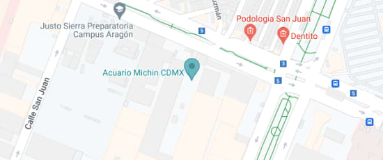 Calzada San Juan de Aragón 399, Granjas Modernas, Ciudad de México, 07460