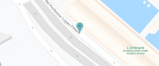 Avenida del Profesor López Piñero, 7, 46013, 46013