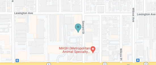 1141 Seward Street, Los Angeles, 90038-1307