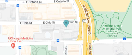 540 North Lake Shore Drive, Chicago, 60611
