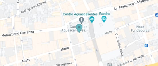 Nieto 113, Zona Centro, Aguascalientes, 20000