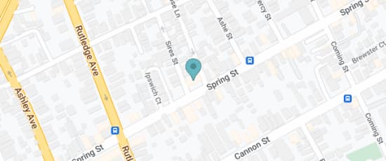 96 Spring Street, Charleston, 29403