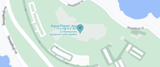 제주 서귀포시 성산읍 섭지코지로 95, 63642