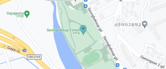 경상북도 성주군 성주읍 경산리 446-1번지, 40033