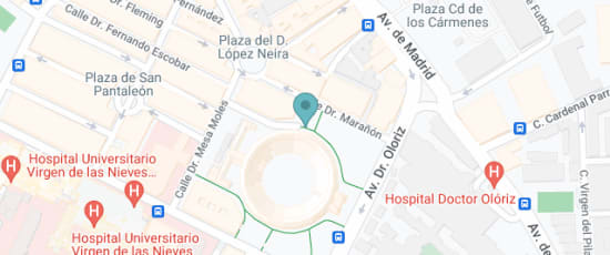 Tendido 9 dentro de la plaza de toros, Avenida Doctor Oloriz, 25, Local E, Granada, 18012