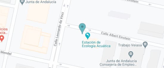  C/ Camino de los Descubrimientos, 41092