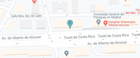 Calle Alberto Alcocer 43, 28016