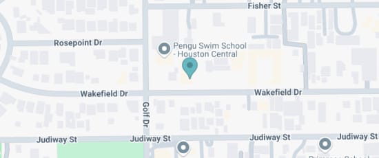 970 Wakefield Drive, Houston, 77018