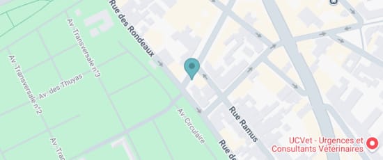 56 Rue des Rondeaux, 75020